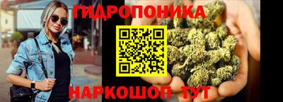 гидропоника Кингисепп