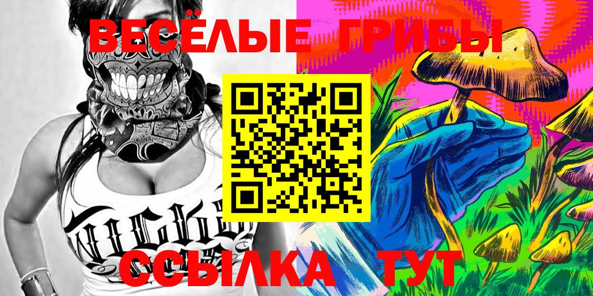Псилоцибиновые грибы Psilocybine cubensis Чапаевск